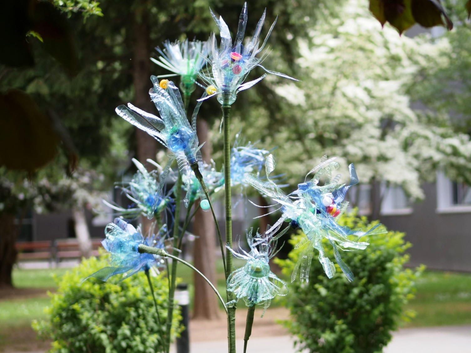 Flowers of Change Pädagogische Hochschule Steiermark