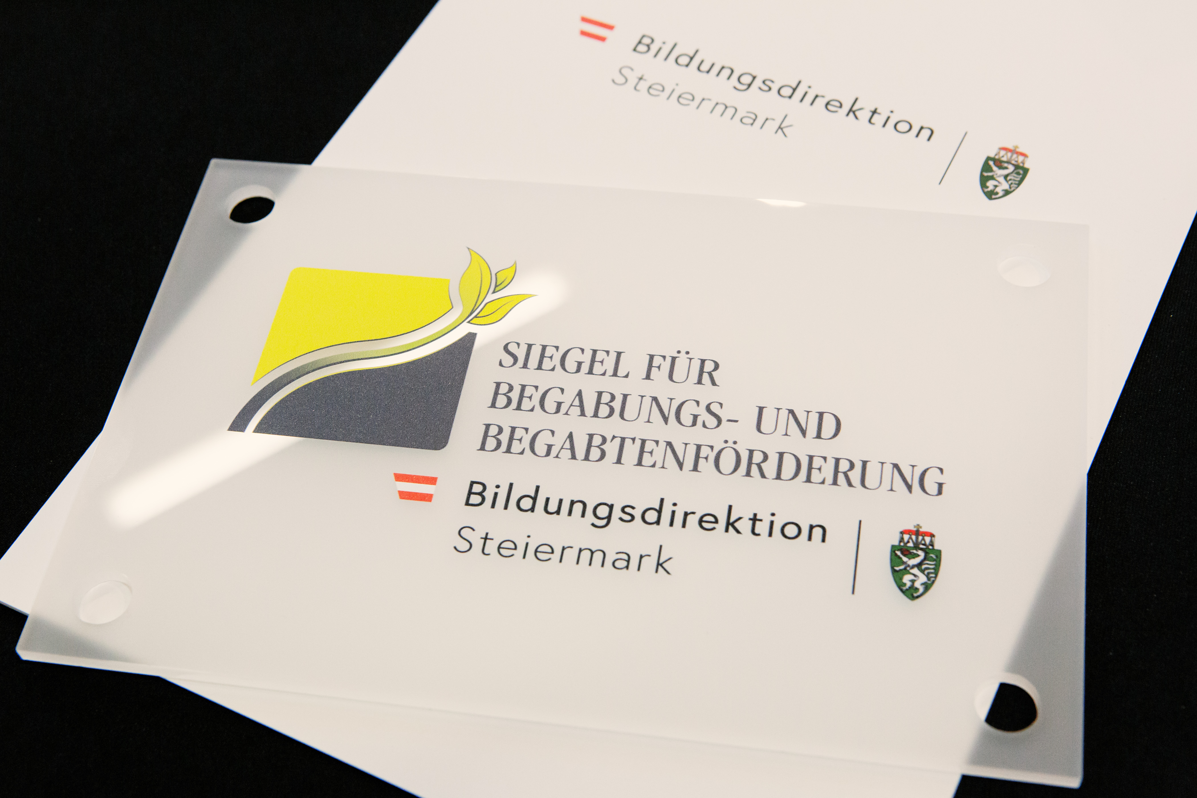 Siegel Vergabe für Begabtenförderung Dokument