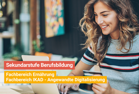 Sujet Onlineberatung SekBB