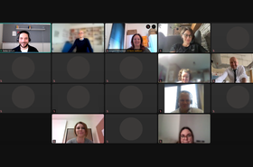 Screenshot des Online Meetings 