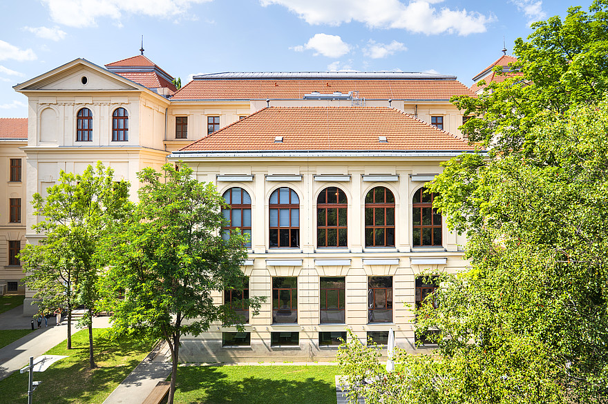 Altbau am Hasnerplatz