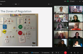 Screenshot von Online Meeting