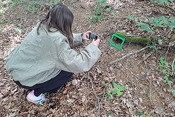 Frau fotografiert Pflanze