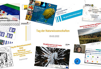 Collage von Beiträgen