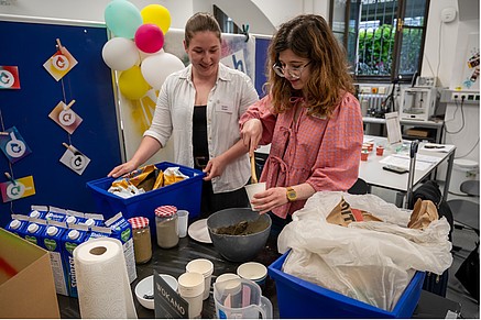 Entwicklung und Erprobung