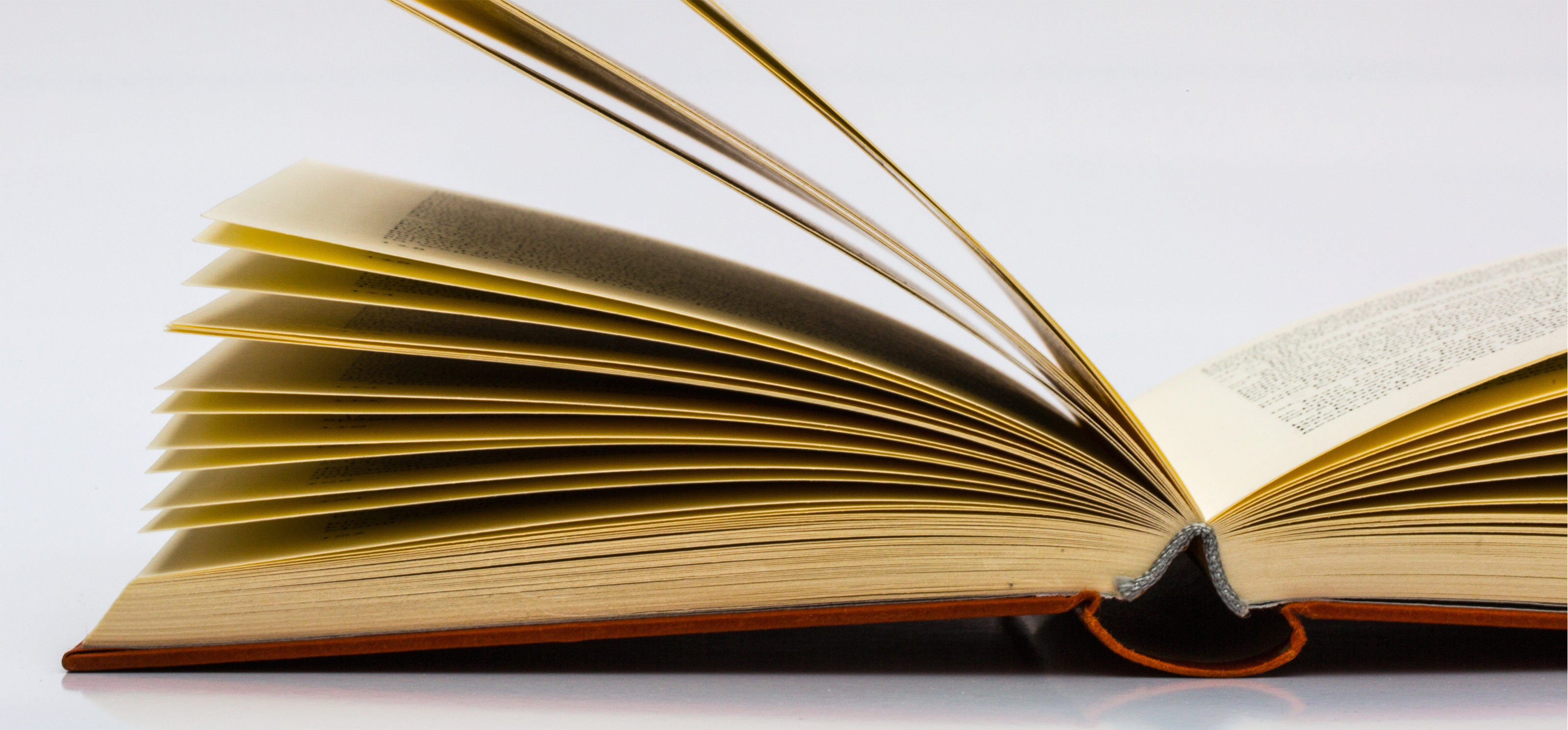 Freigabe des Kompetenzprofils Lesen für Pädagog*innen